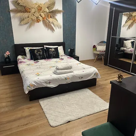 Morii Travel * Brasov